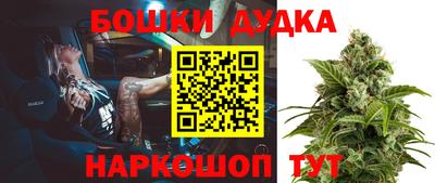 крисы Коломна