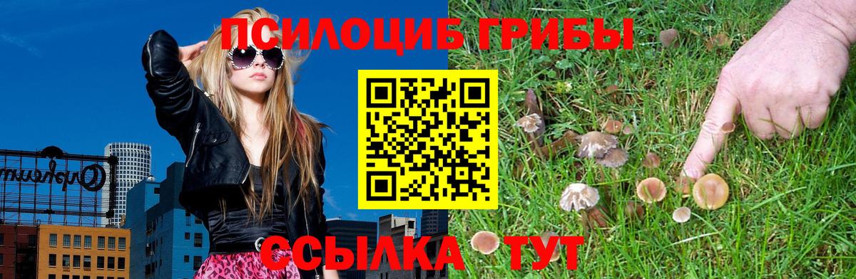 Галлюциногенные грибы Cubensis  Вход с VPN  Дербент 