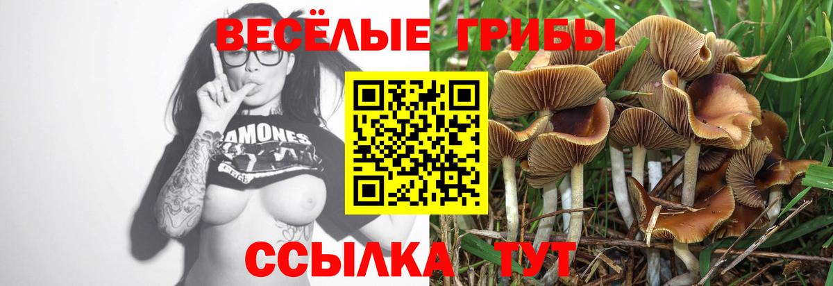 Галлюциногенные грибы Magic Shrooms Дербент